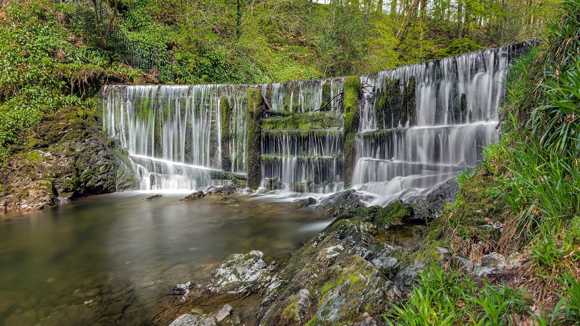 Stock Ghyll Force waterfall in woodland behind Ambleside, Lake District